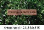 Small photo of EBP education. Written on wooden surface. Background tree leaves. Education and work.