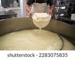 Cheese maker or worker taking curd from tank at cheese factory, closeup. Filtering fermentation milk. Copy space
