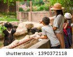 Asian family kids learning outdoor on vacation summer holiday, mother brother and sisters looking bear show for feeding in zoo, boy child holding telescope , pen and notebook for writing knowledge 