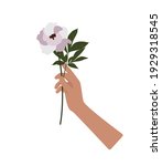 hand holding peony flower... | Shutterstock .eps vector #1929318545