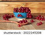 red currant on wood plate and... | Shutterstock . vector #2022145208