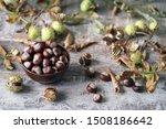 Small photo of Chestnuts. Buckeyes. Autumn mood. Leaves of a chestnut tree.