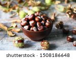 Small photo of Chestnuts. Buckeyes. Autumn mood. Leaves of a chestnut tree.