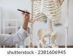 Close up of hand of female doctor dressed in medical gown pointing with pen to rib bone on plastic model of human body. Detailed structure of skeleton demonstrating places of diseases in patient.