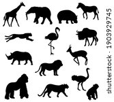 silhouettes of african animals  ... | Shutterstock .eps vector #1903929745