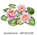 The Lotuses. Water Lilies...
