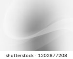 light silver  gray vector... | Shutterstock .eps vector #1202877208