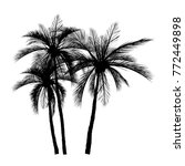 Vector Of Palm Tree Silhouette...