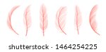 Trendy Coral Feathers. Vector...