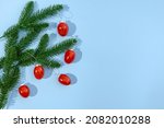 Fir Branches With Cherry...