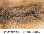 Texture of natural rabbit fur close-up. Background.