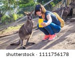 Selfie With Kangaroo In...
