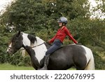 Small photo of A woman practices her riding skills by sitting bareback on her skewbald Irish Gypsy Cob horse in a grassy field. In the background are shrubs and trees.