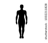 adult man silhouette   vector... | Shutterstock .eps vector #1032211828