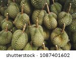 many durians are waiting for... | Shutterstock . vector #1087401602