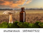 Alternative medicine - medical mushroom, concept. Health or psychedelic mushroom essence
