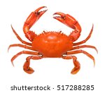 Crab isolated on white...