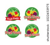 fresh fruits logo design vector ... | Shutterstock .eps vector #1022653975