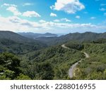View of the narrow roads winding through the green, dense forest of the Coromandel Peninsula on the North Island of New Zealand. In the background you can see the coast and the sea.