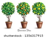 set of decorative trees in pots ... | Shutterstock .eps vector #1356317915