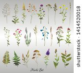 set of colored meadow herbs and ... | Shutterstock .eps vector #1414520018