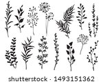 set of black meadow herbs ... | Shutterstock .eps vector #1493151362