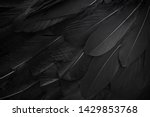 Close Up Of Black Feathers...