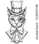 cat wearing cylinder top hat... | Shutterstock .eps vector #713055748