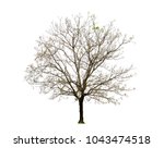 the dried tree on a white... | Shutterstock . vector #1043474518