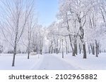 Beautiful winter landscape with snow-covered trees. Blue sky and textured snow. Winter tale