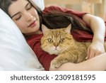 Small photo of A tender moment captured as a beautiful young woman, lying on her bed in the morning light, holds her cute cat closely. Their bond and affection are palpable