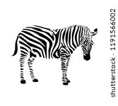 pretty zebra icon. | Shutterstock . vector #1191566002