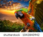 Macaw Sitting On A Branch ....