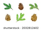 pine tree evergreen branches... | Shutterstock .eps vector #2032812602