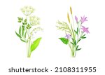 set of summer blooming... | Shutterstock .eps vector #2108311955