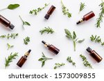 essential oils and fresh herbs... | Shutterstock . vector #1573009855