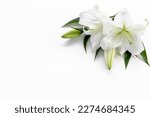 White liles flowers. Mourning or funeral background. Floral mock up.