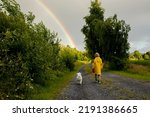 Small photo of Little child with yellow raincoat and maltese dog, walking on a path, rainbow in front of him, Norway nature