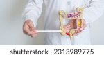 Small photo of Doctor holding human Colon anatomy model. Colonic disease, Large Intestine, Colorectal cancer, Ulcerative colitis, Diverticulitis, Irritable bowel syndrome, Digestive system and Health concept