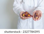Small photo of Doctor holding human Liver anatomy model. Liver cancer and Tumor, Jaundice, Viral Hepatitis A, B, C, D, E, Cirrhosis, Failure, Enlarged, Hepatic Encephalopathy, Ascites Fluid in Belly and health