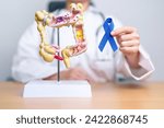 Small photo of Doctor holding Blue ribbon with human Colon anatomy model. March Colorectal Cancer Awareness month, Colonic disease, Large Intestine, Ulcerative colitis, Digestive system and Health concept