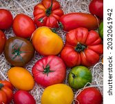 Small photo of Fresh colorful tomatoes on wood straw background, closeup. Best Heirloom Tomato Varieties in country market. Delicious Heirloom Tomatoes mix in summer