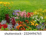 Multi colored flower bed in the ...