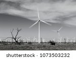 Windmills Motion Blur B W