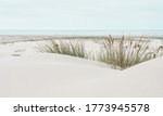 Dune Landscape At The North Sea ...