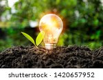 Growth concept. Including learning, education, investment, business sector, technology, innovation. Comparison of bulbs grown in the soil and illuminating the sides, with leaves