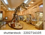Small photo of dinosaur skeleton at the Museum of Natural History in Kazan russia August 6, 2022