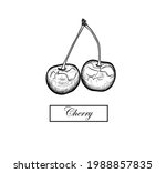 hand drawn cherry ilosated on... | Shutterstock .eps vector #1988857835