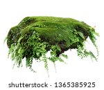 Floating rock island covered by green moss, grass and fern, isolated on white background.