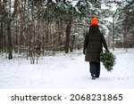 Back view of woman in red hat carrying Christmas tree and walkng in snow winter park. Preparing for Christmas, picking, selecting, choosing Christmas tree